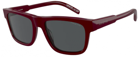 ARNETTE 4279/120787