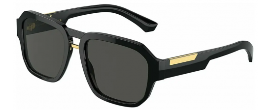 DOLCE GABBANA 4464/501/87