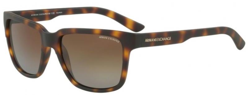 ARMANI EXCHANGE 4026S/8029T5 - Sunglasses
