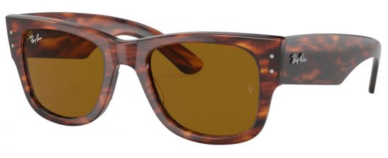 RAY-BAN 0840S/954/33