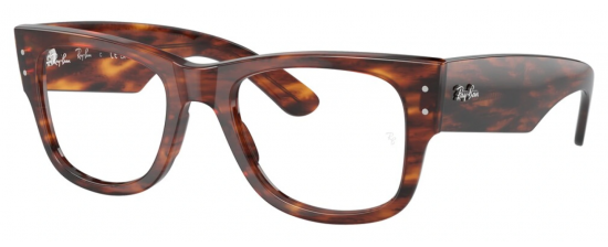 RAY-BAN 0840V/2144