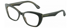 DOLCE GABBANA 3360/3256