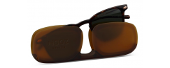 NOOZ OPTICS DINO SUN/CLASSIC TORTOISE