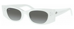 RAY-BAN 4427/675911