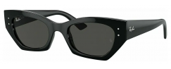 RAY-BAN 4430/667787