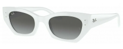 RAY-BAN 4430/675911