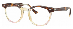 RAY-BAN 5598/8402