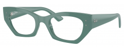 RAY-BAN 7330/8345