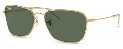 RAY-BAN R0102S/001/VR